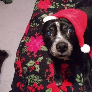 Meet your Posher, Billie kaye